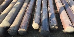 Forged Shaft