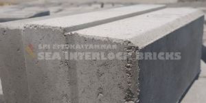 8 Inch Interlock Bricks