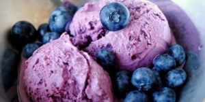 Black Currant Ice Cream Brick