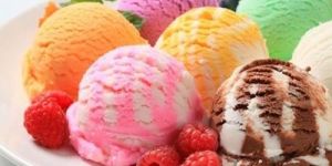 Fruit Ice Cream Brick