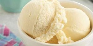 Vanilla Ice Cream Brick