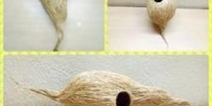 Coir Bird Nest