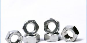 Stainless Steel Nuts