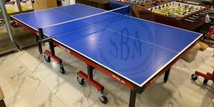 Table Tennis Tables