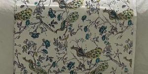 Chirping Birds Collection