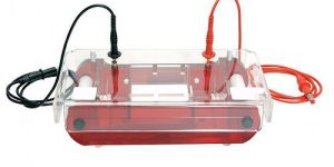 Electrophoresis Unit