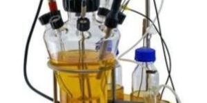 Lab Fermenters
