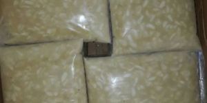 Frozen Custard Apple