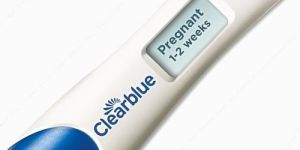 Pregnancy Test Strips