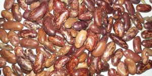 Kidney Beans
