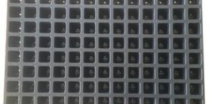 Plastic Seedling Tray