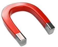 Horseshoe Magnet