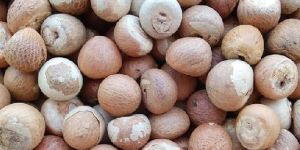 Betel Nuts