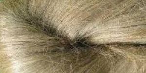 Flax Fiber