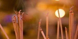 Sandalwood Incense Sticks