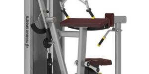 Triceps Extension Machine