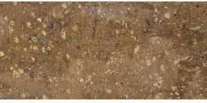 Jaisalmer Granite Slab