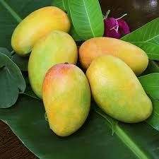 Fresh Ripe Mango
