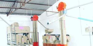 Seed Processing Plant