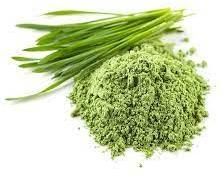 Wheat Grass Powder