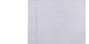 Assignment Paper Sheets