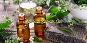 Mentha Citrata Oil
