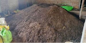 Organic Vermicompost