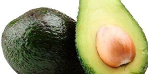 Fresh Avocado