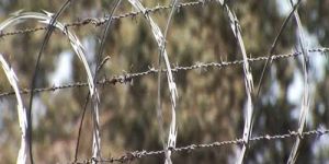 Concertina Wire