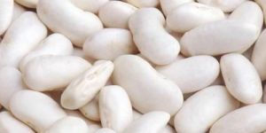 White Kidney Beans