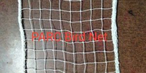 Bird Net
