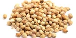 Coriander Seeds