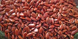 Flax Seeds