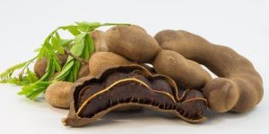 Fresh Tamarind