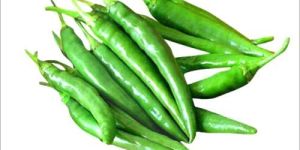 Fresh Green Chilli (G4)