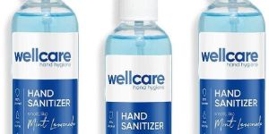 WellCare Hand Sanitizer Spray, 100ml with Spray