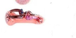 4 Inches Glass Frit Pipe