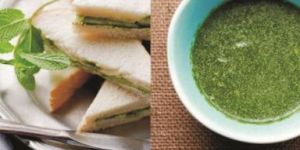 Instant Sandwich Chutney Mix