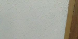 Wall Putty and Painting Services