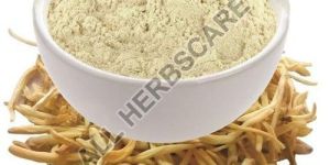 Safed Musli Powder