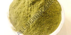 Stevia Leaves Powder