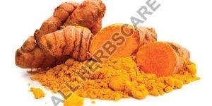 Turmeric Extract