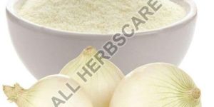 White Onion Powder