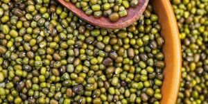 Green Urad Dal
