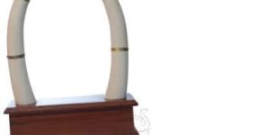 Wooden Elephant Tusk