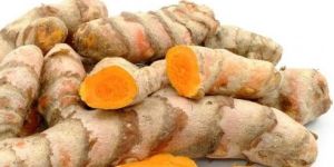 Organic Turmeric