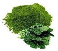 Spinach Powder