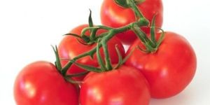 Fresh Organic Tomato