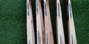 Kashmir Willow Scoop Bats for Hard Tennis Balls
