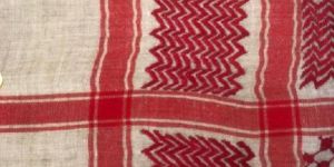 Pashmina Embroidered Scarf